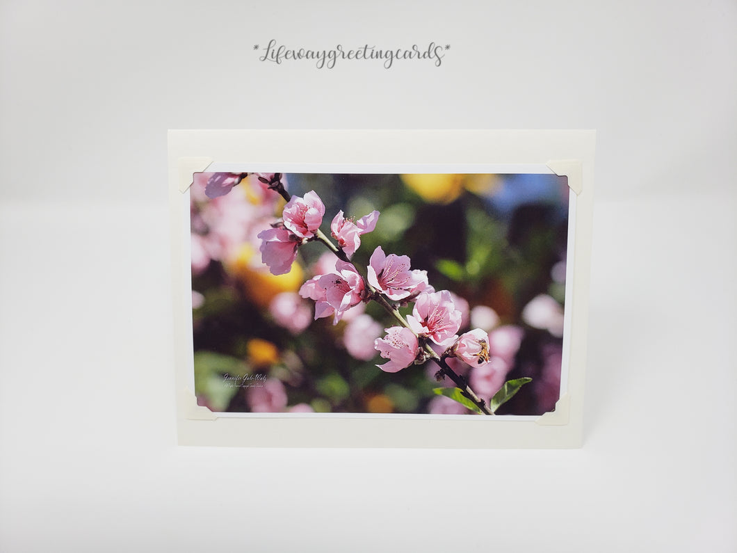 Pink Blossom Bee ~ Blank Card
