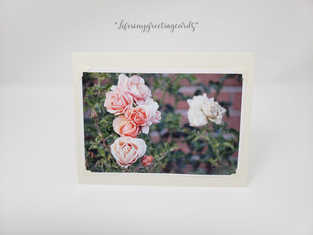 Rosebuds of Age ~ Blank Card