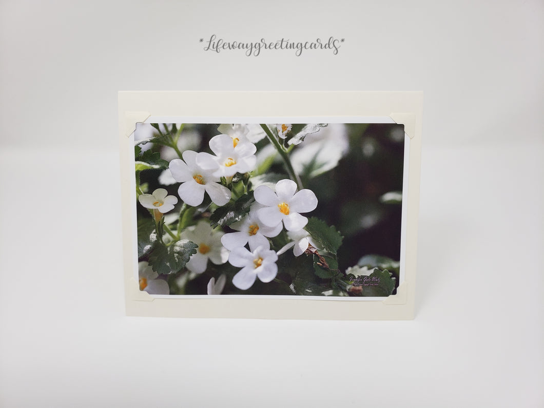 Ornamental Bacopa ~ Blank Card