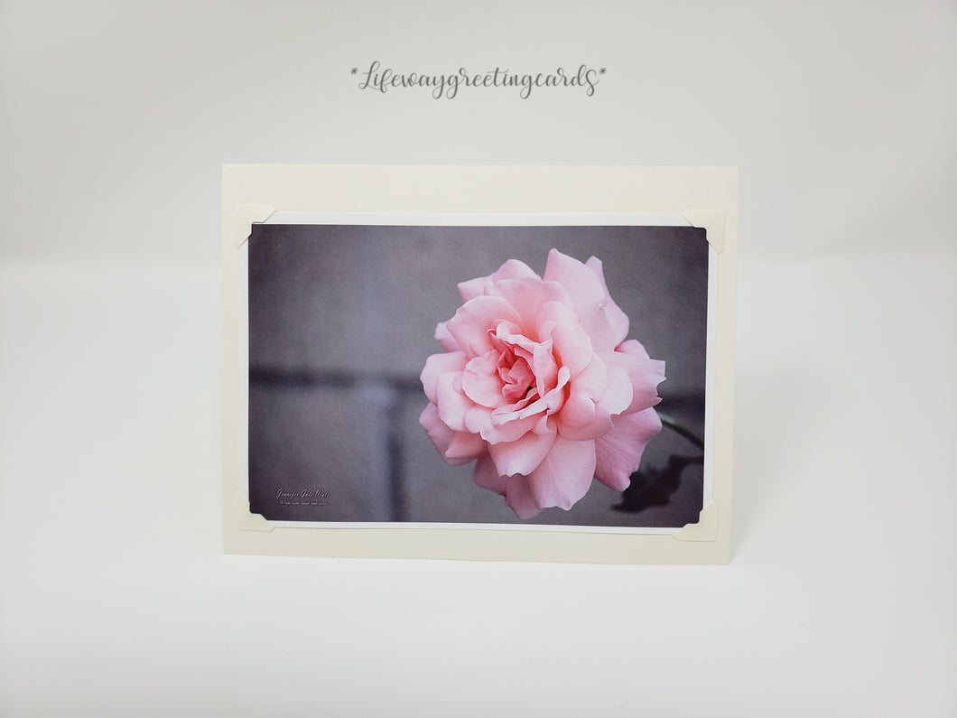 Pink Hybrid Tea Rose ~ Blank Card