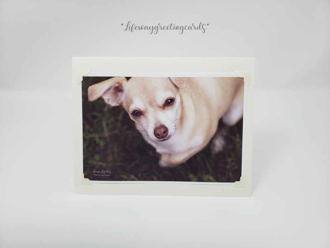 Sweet Girl ~ Blank Card