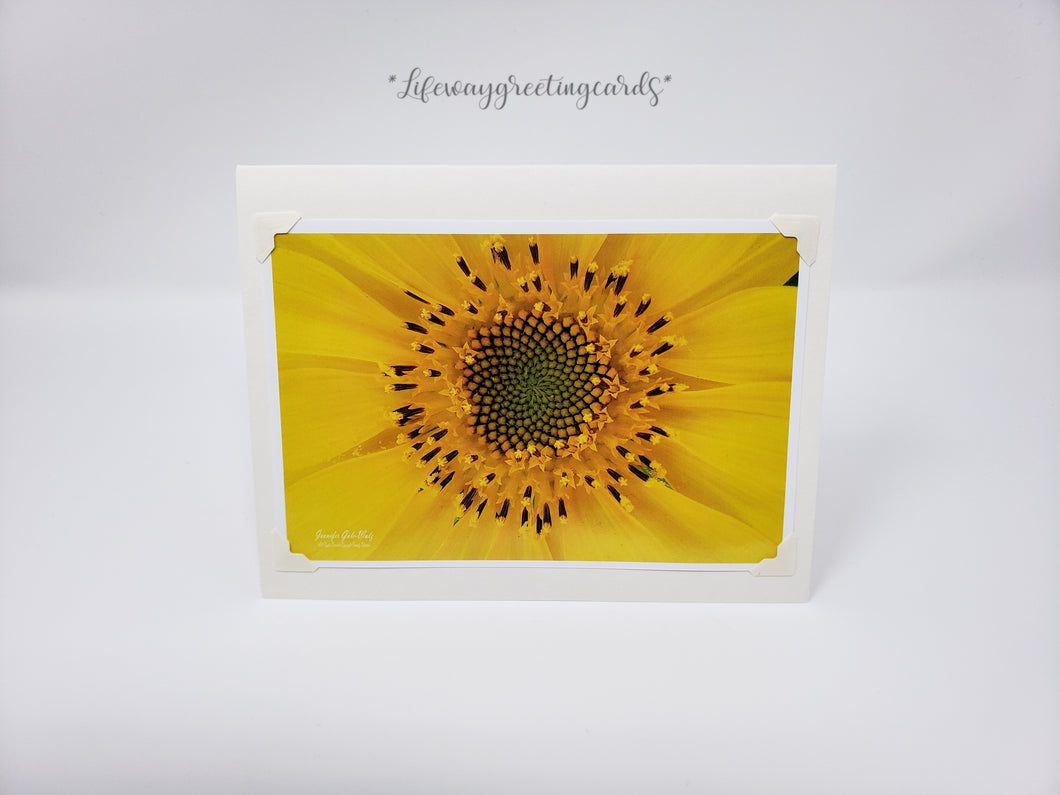 Sunflower Burst ~ Blank Card