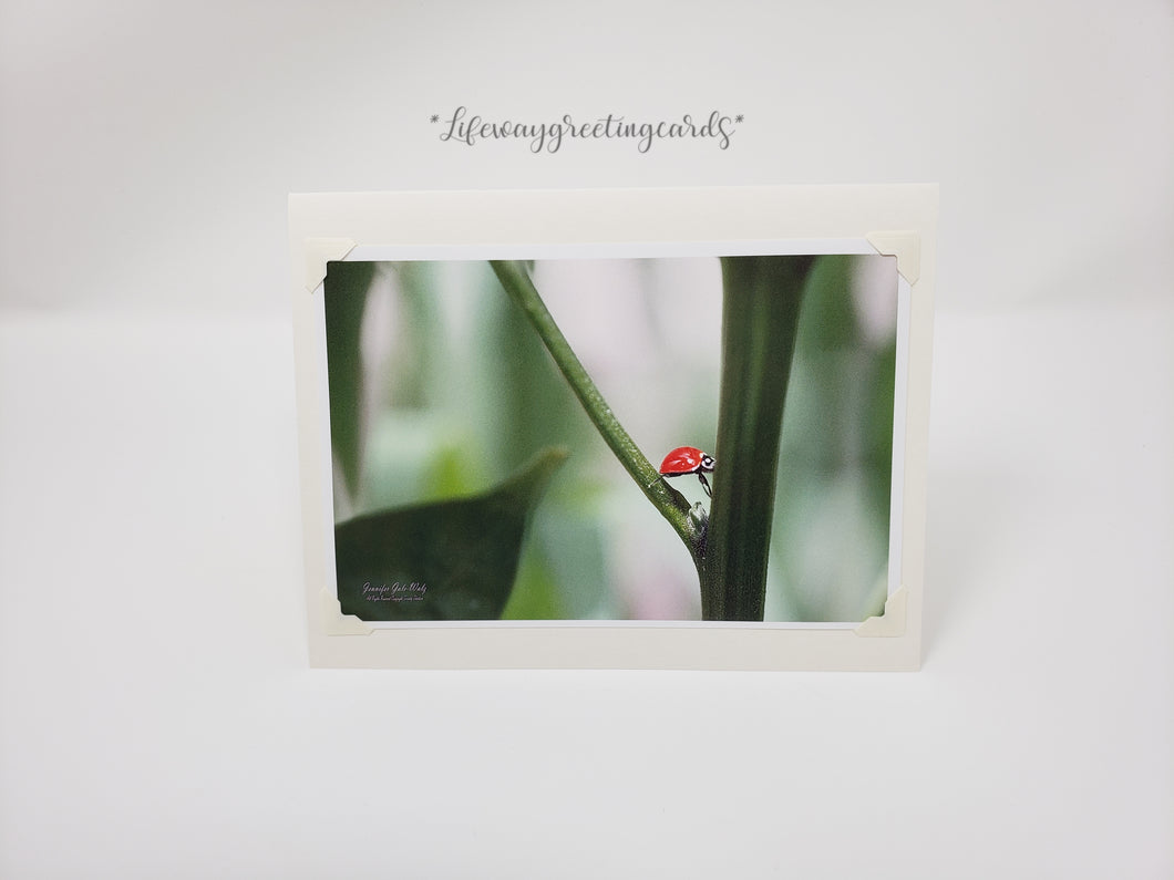 Ladybug ~ Blank Card