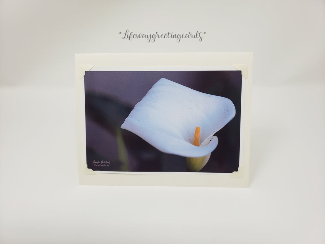 White Lily ~ Blank Card