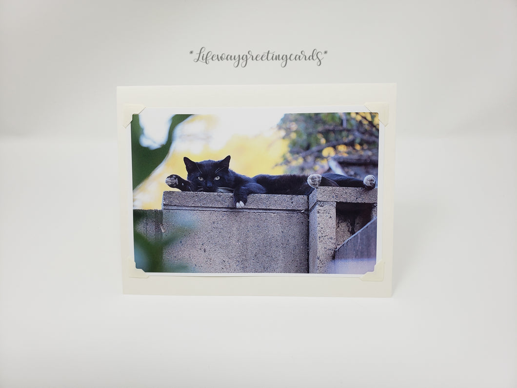 Cat Nap ~ Blank Card