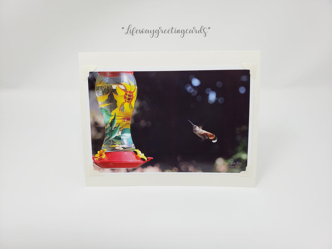 Hummingbird ~ Blank Card