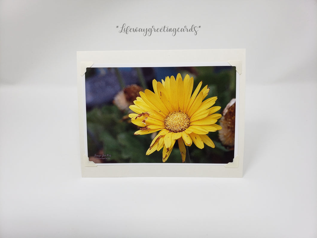 Yellow Daisy ~ Blank Card