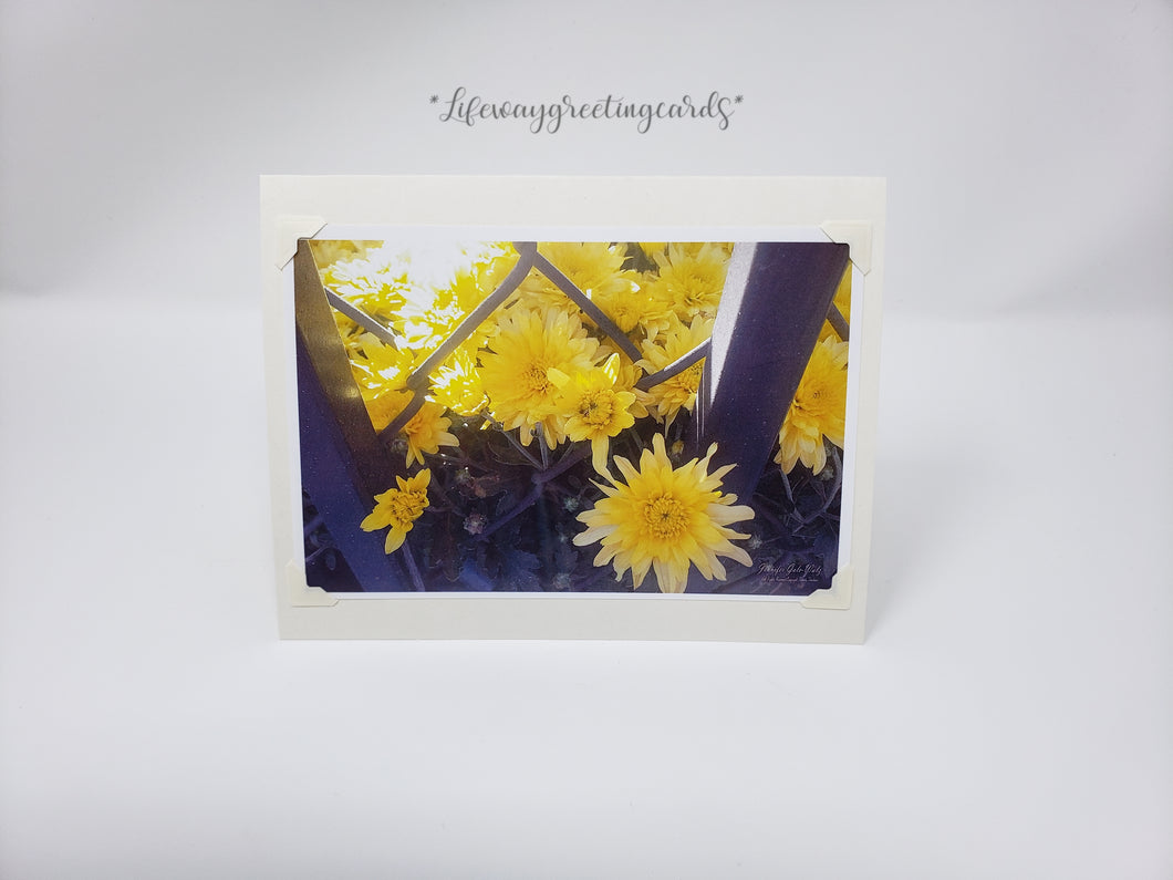 Yellow Daisies ~ Blank Card