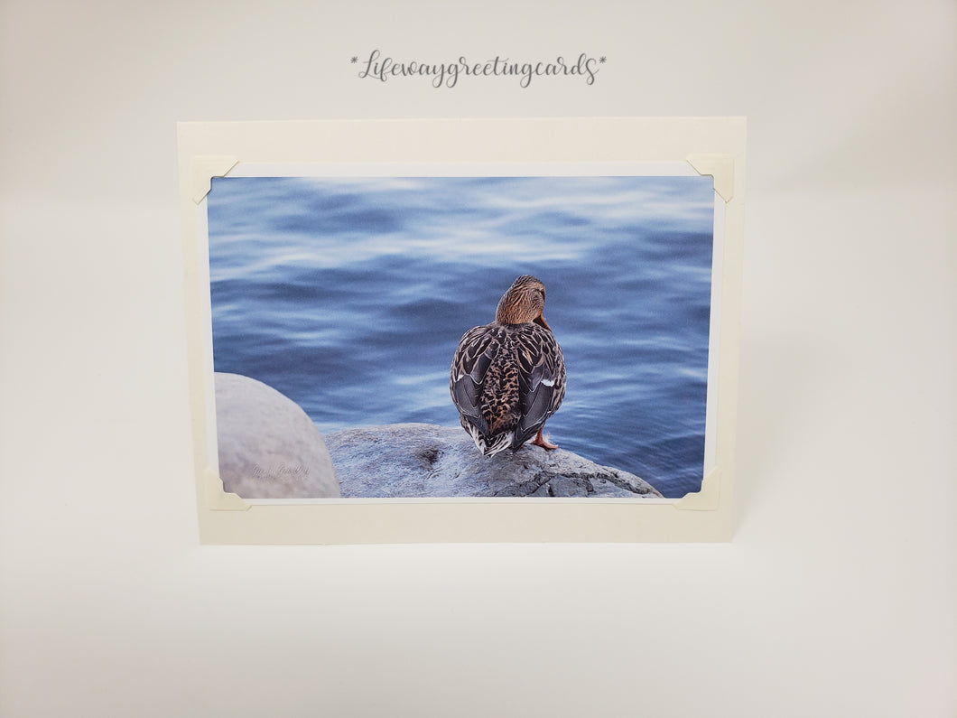 Duck in Grace ~ Blank Card