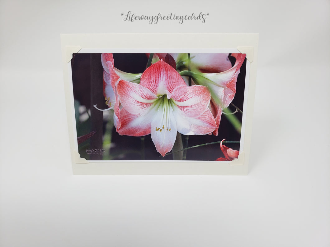 Pink and White Bell Horns ~ Blank Card