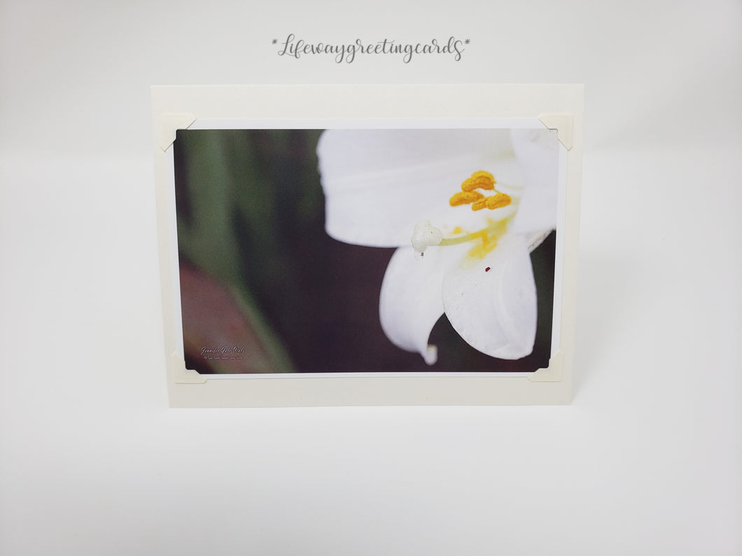 White Nectar Lily ~ Blank Card