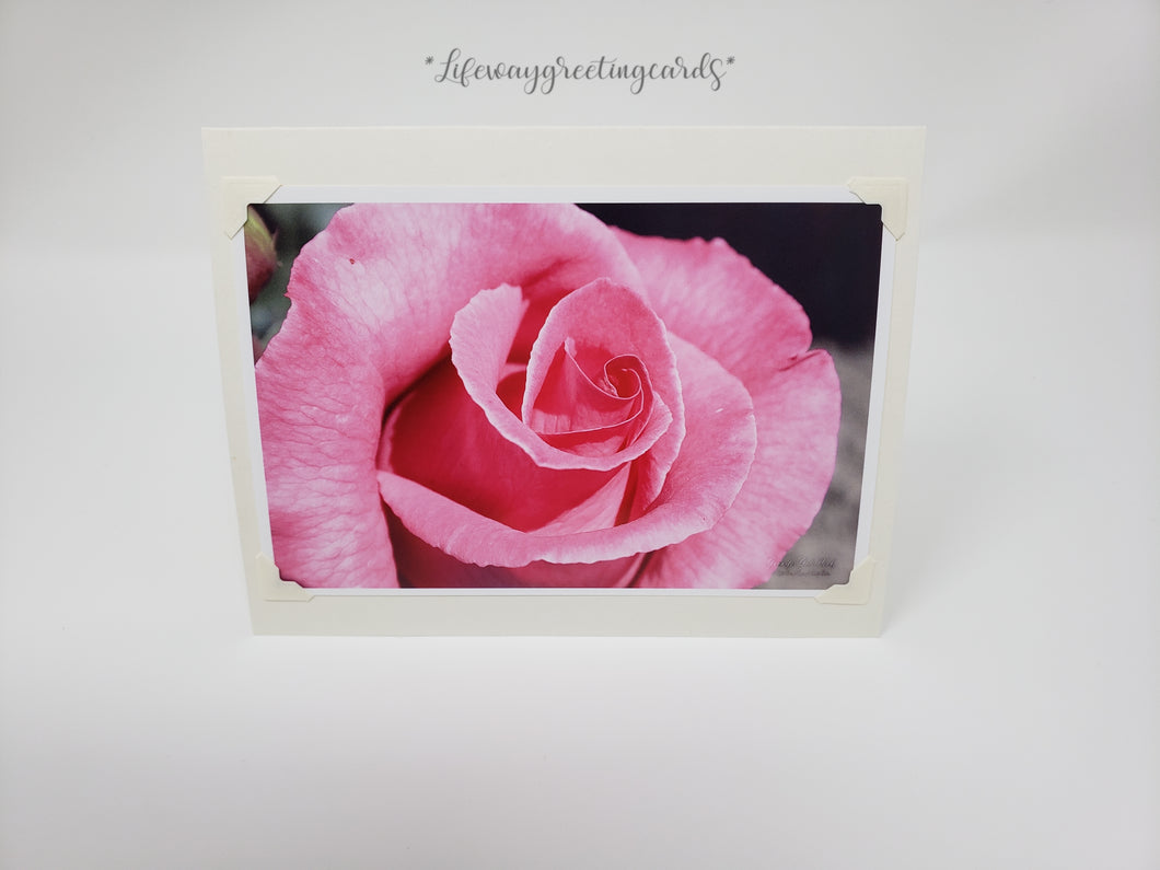 Pink Rose ~ Blank Card