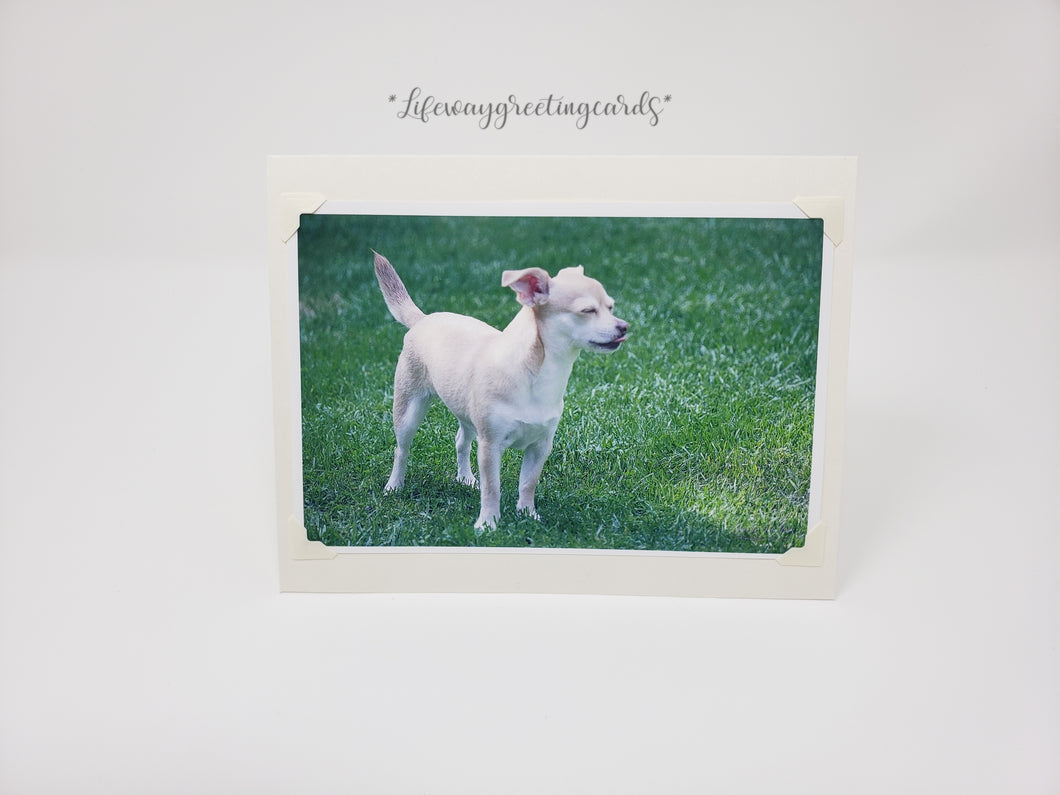 Posing a Rasberry ~ Blank Card