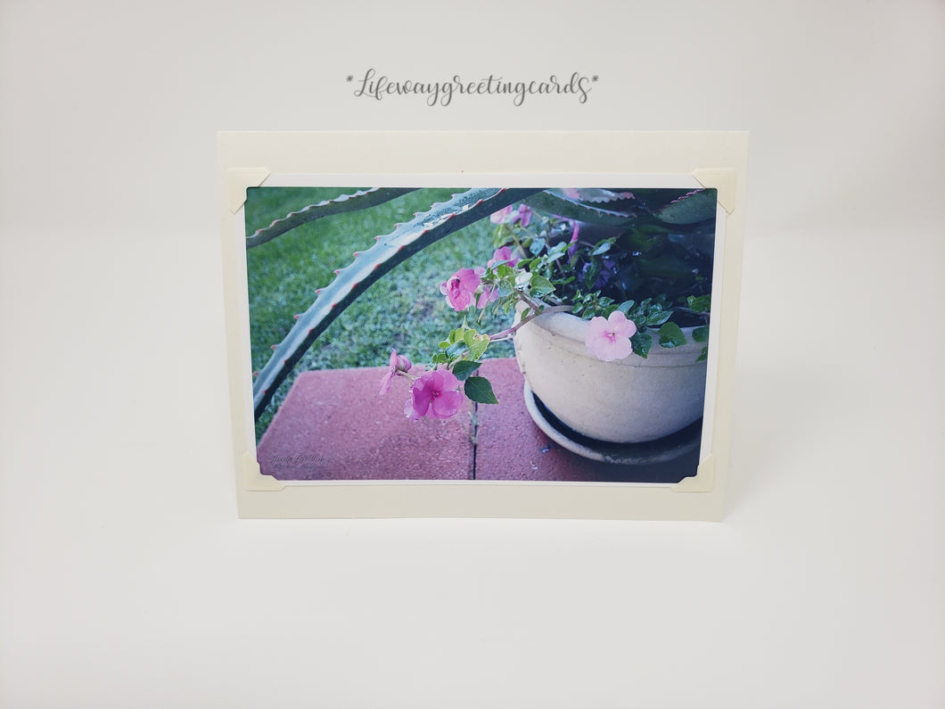 Potted Aloe ~ Blank Card