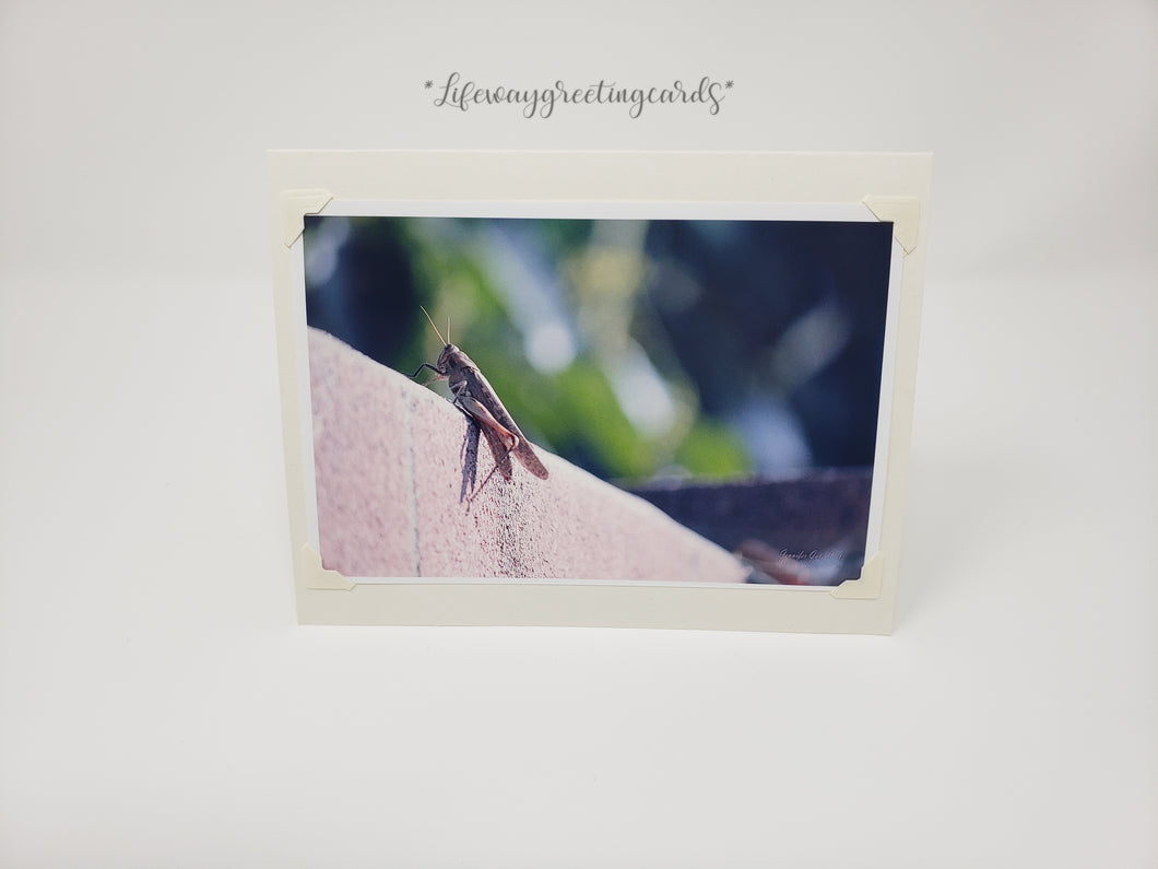 Grasshopper ~ Blank Card