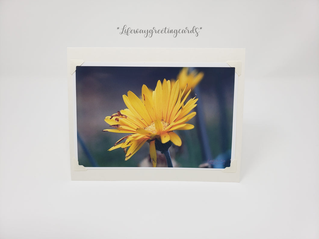 Yellow Aging Daisy ~ Blank Card