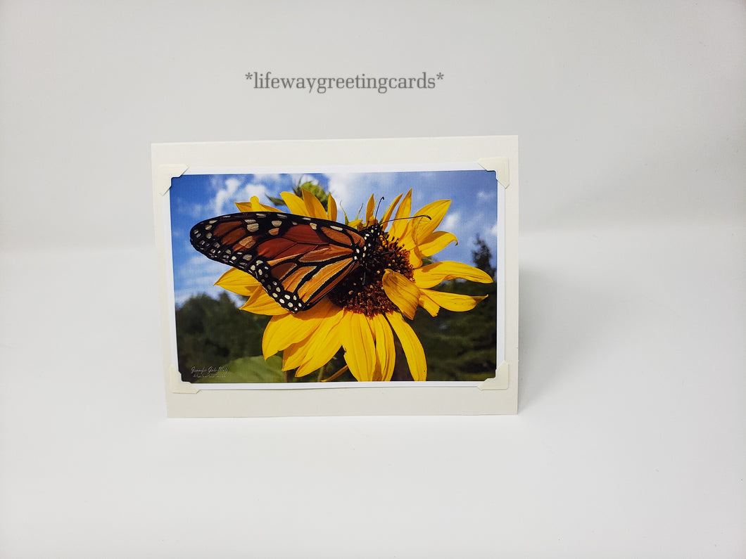 Monarch Butterfly Beauty ~ Blank Card
