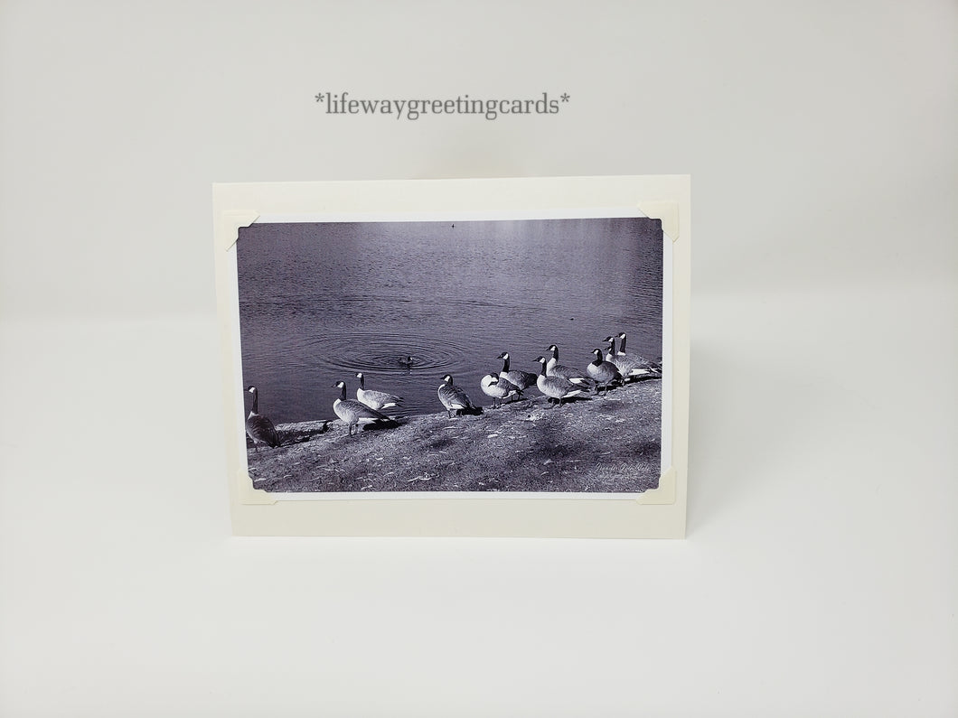 Patiently Wading ~ Blank Card