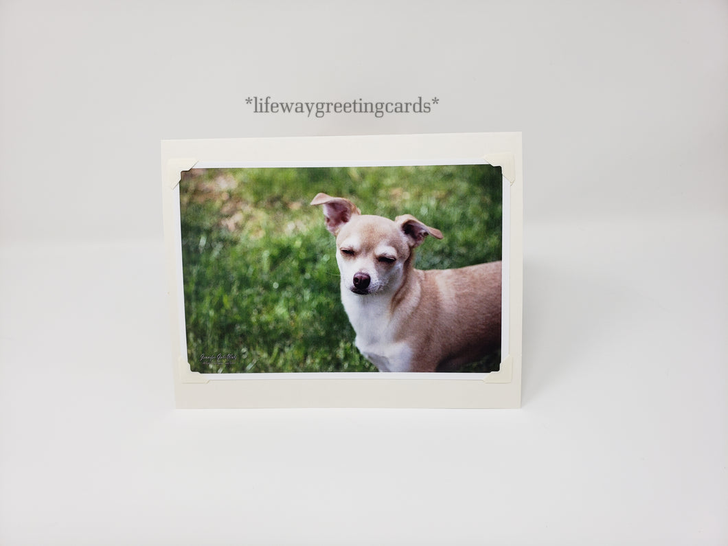 Sweet Contentment ~ Blank Card