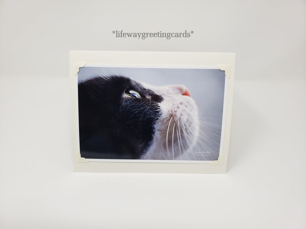 Poised ~ Blank Card