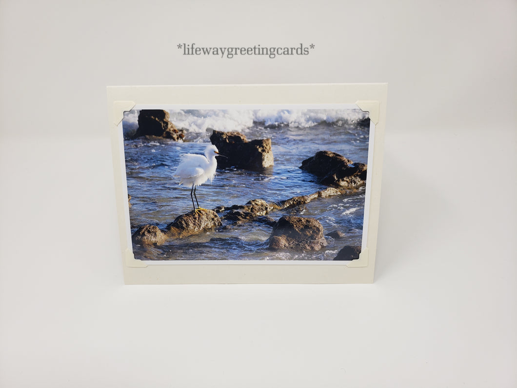 Fluffed Up Great Egret ~ Blank Card