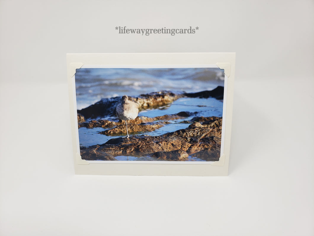 Napping Egret ~ Blank Card