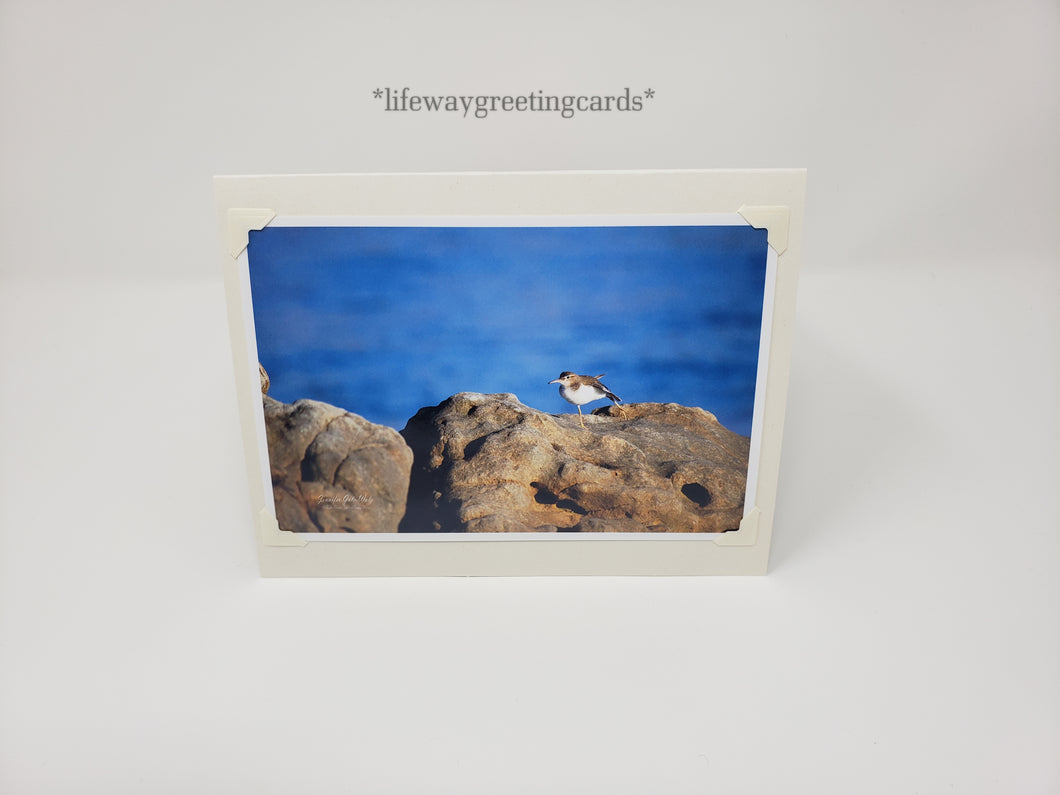 Sandpiper Stretch ~ Blank Card