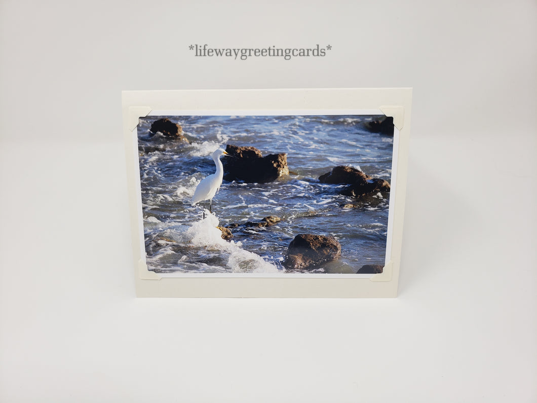 Beautifully Still ~ Blank Card