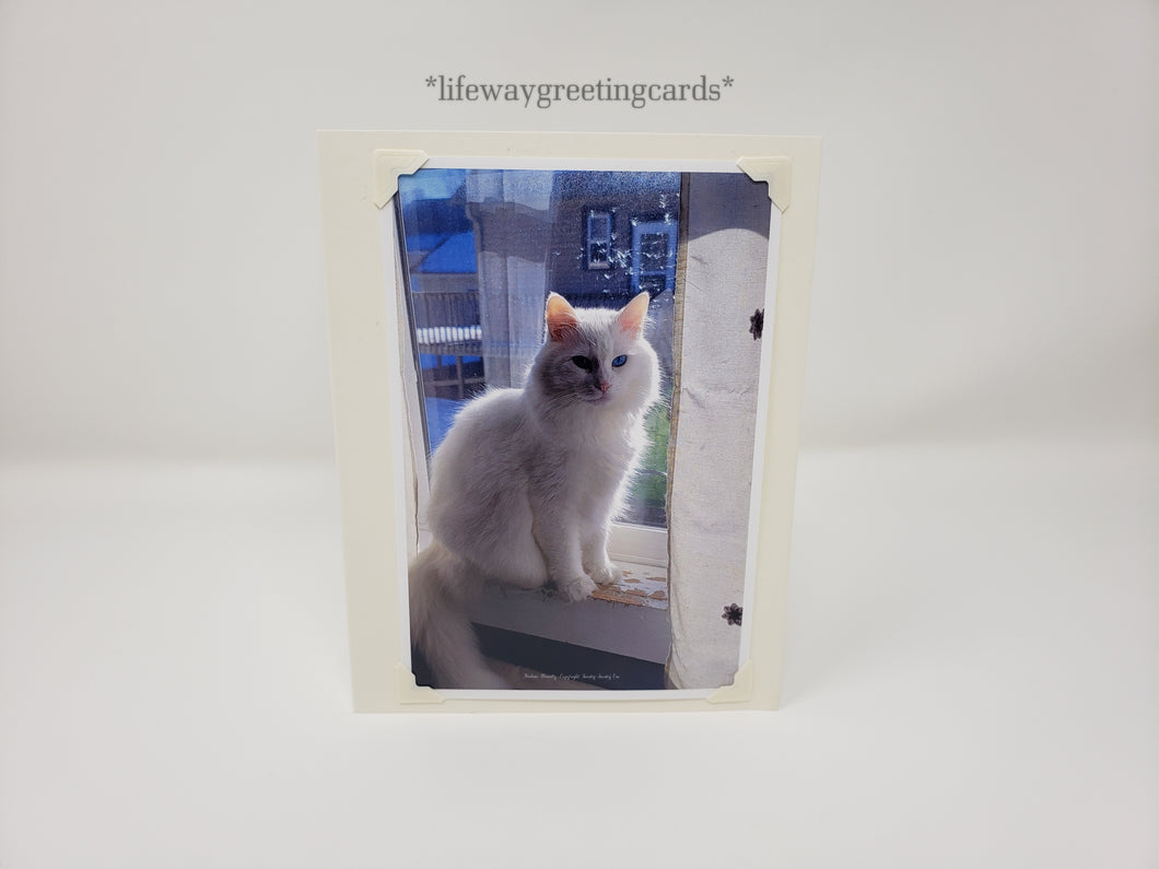 Sulley in the Sunrays ~ Blank Card