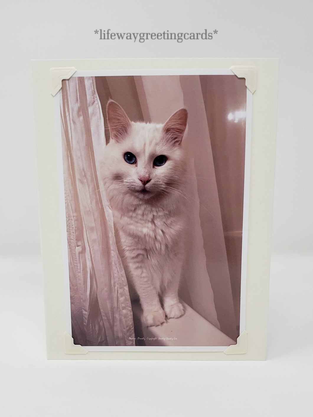 Sulley's Closeup ~ Blank Card