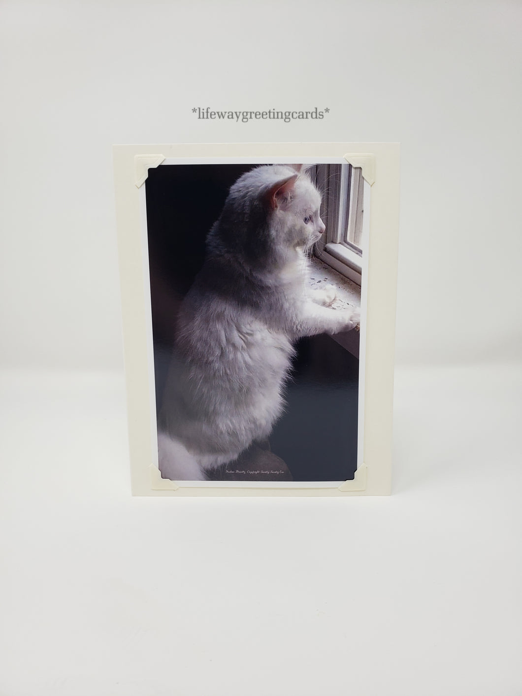 Sulley at His Window ~ Blank Card