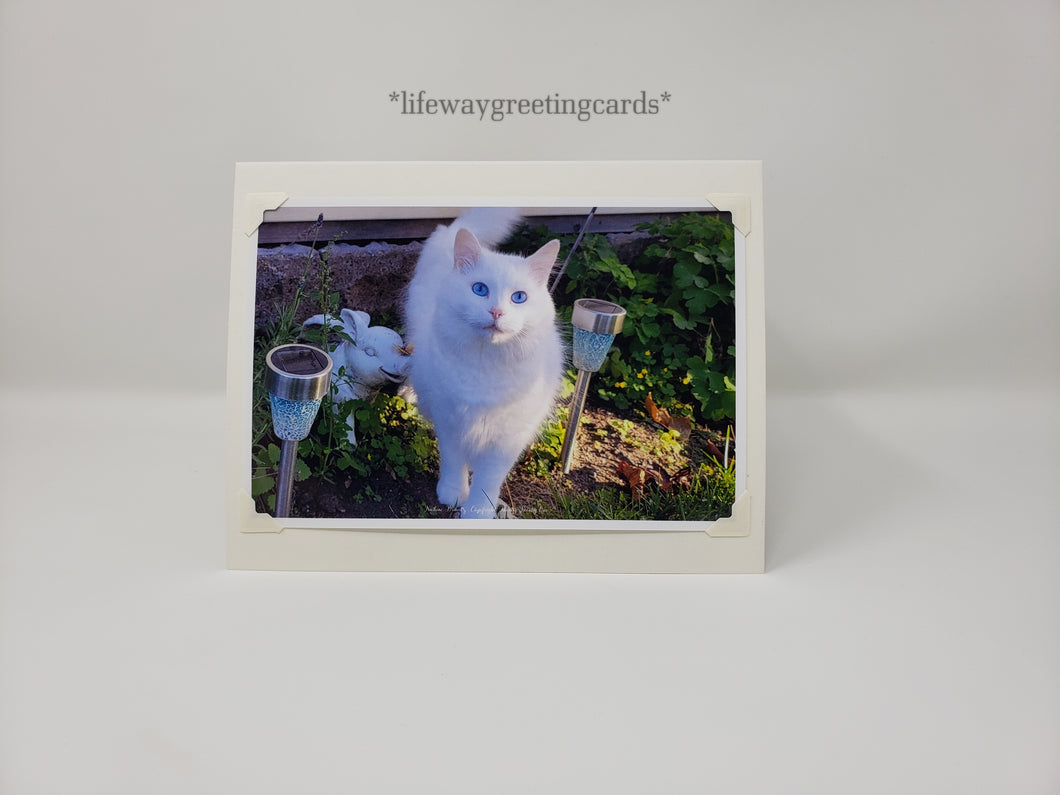 Sulley's Stroll in the Garden ~ Blank Card