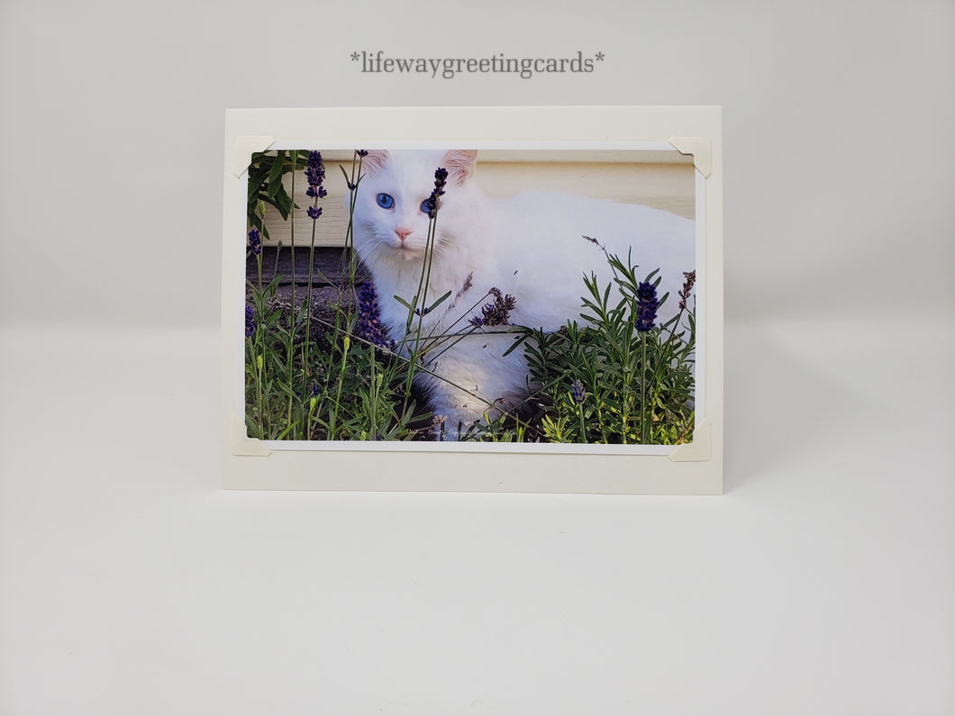 Sulley's Walk in the Garden ~ Blank Card