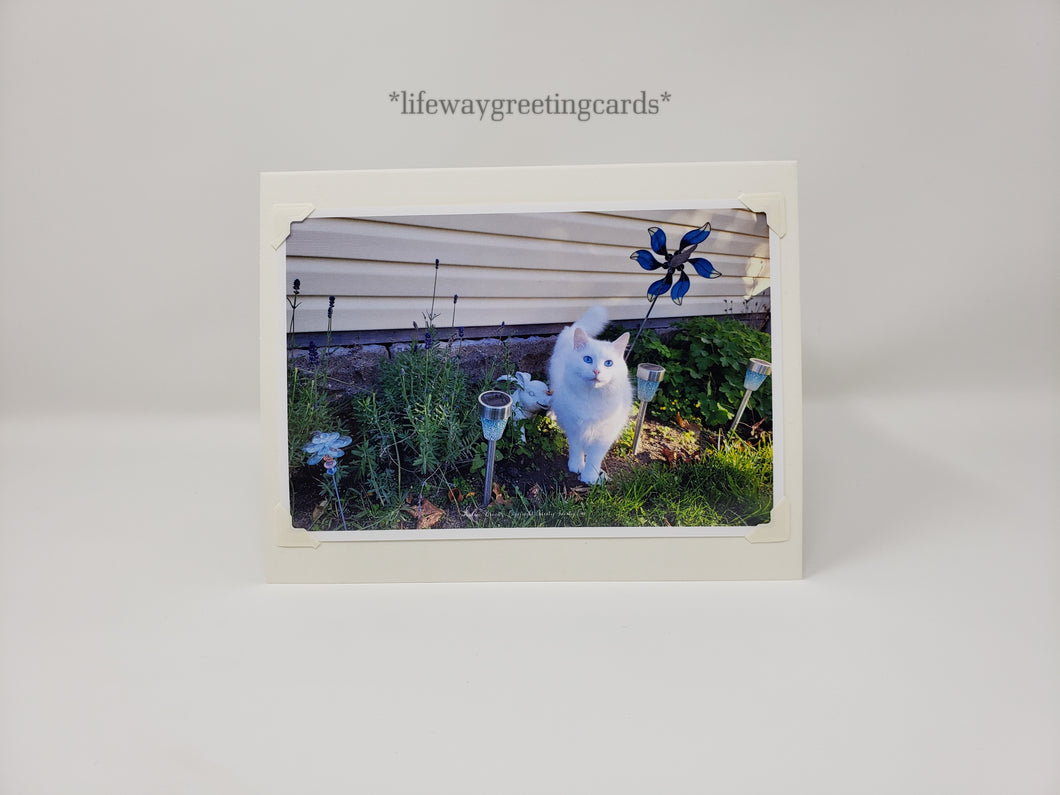 Sulley's Garden Windcatcher ~ Blank Card