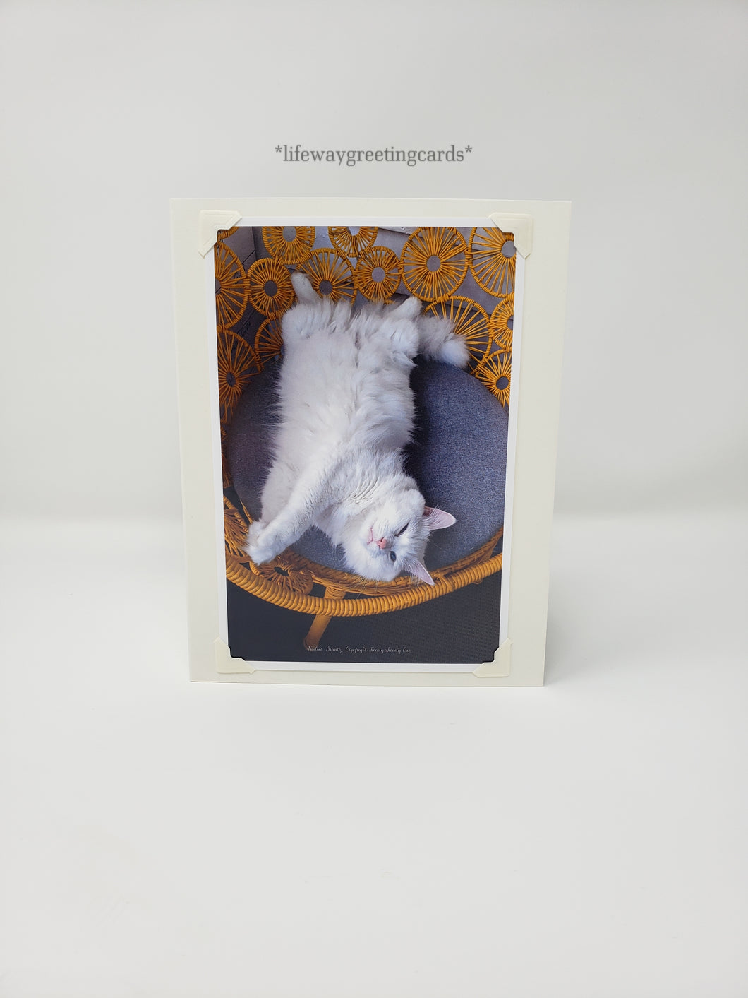 Sulley's Catnap ~ Blank Card